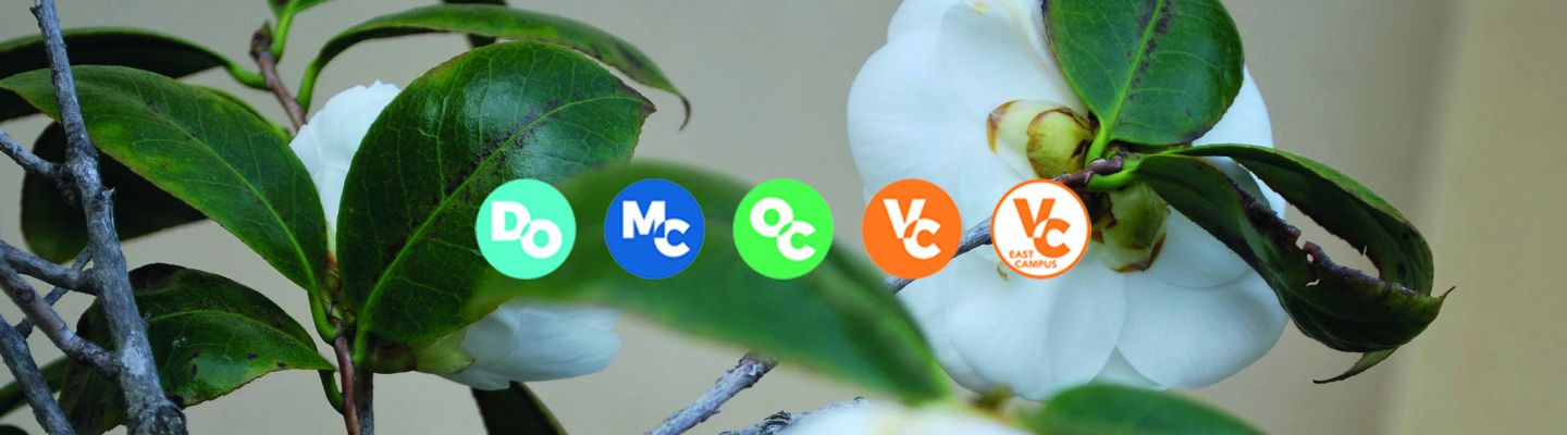 flowers with vcccd logos