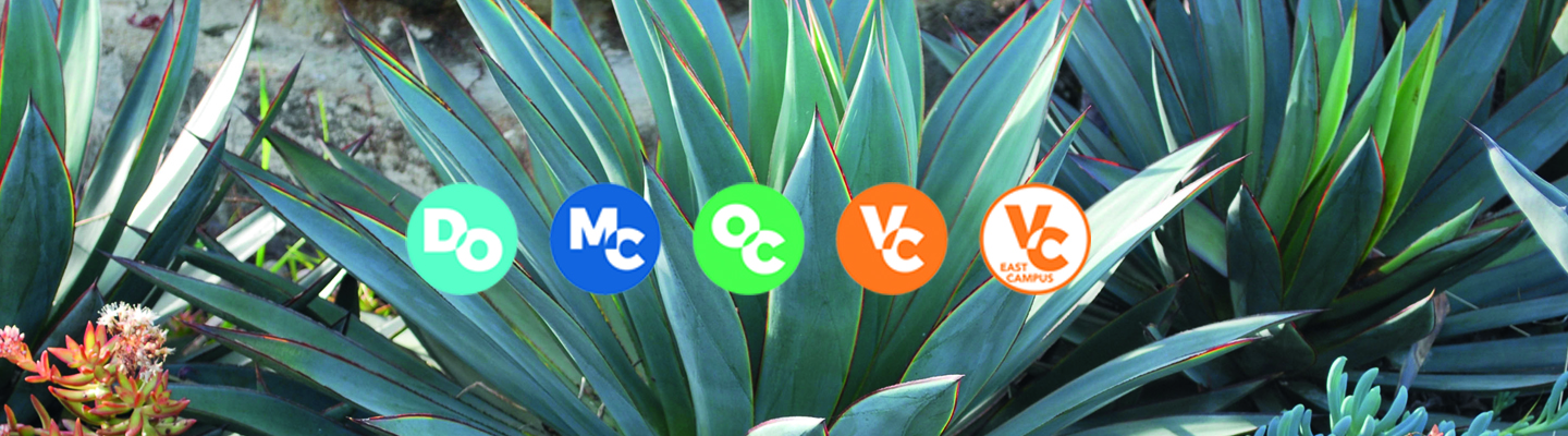 succulents growing with vcccd logos 