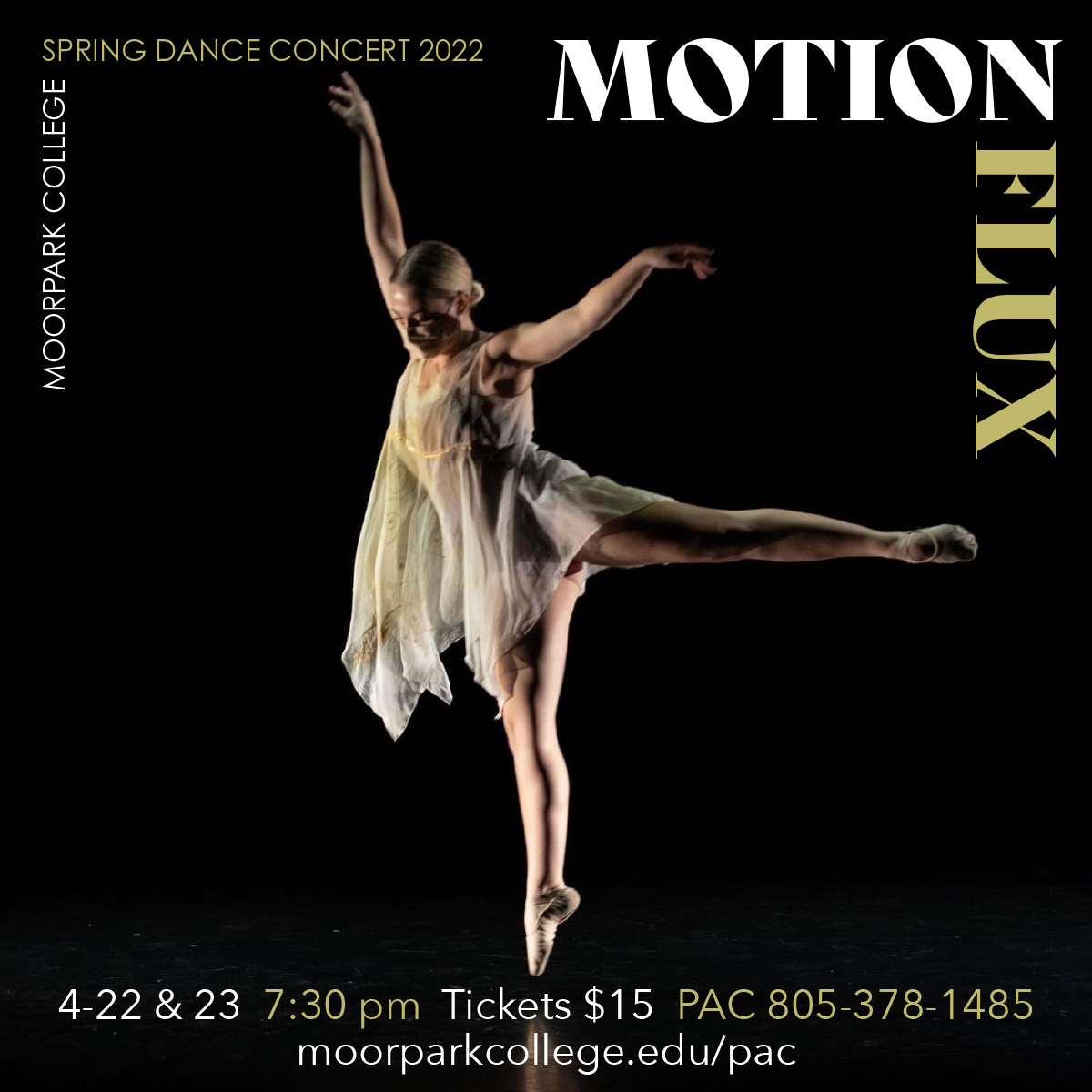 Motion Flux Dance Performance