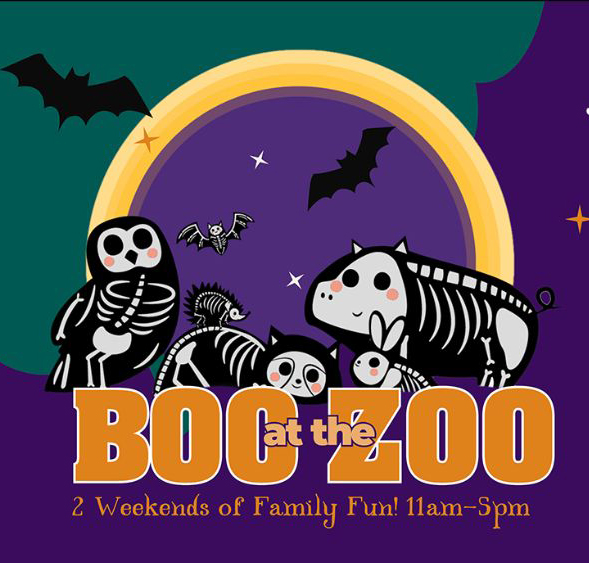 Boo at the Zoo