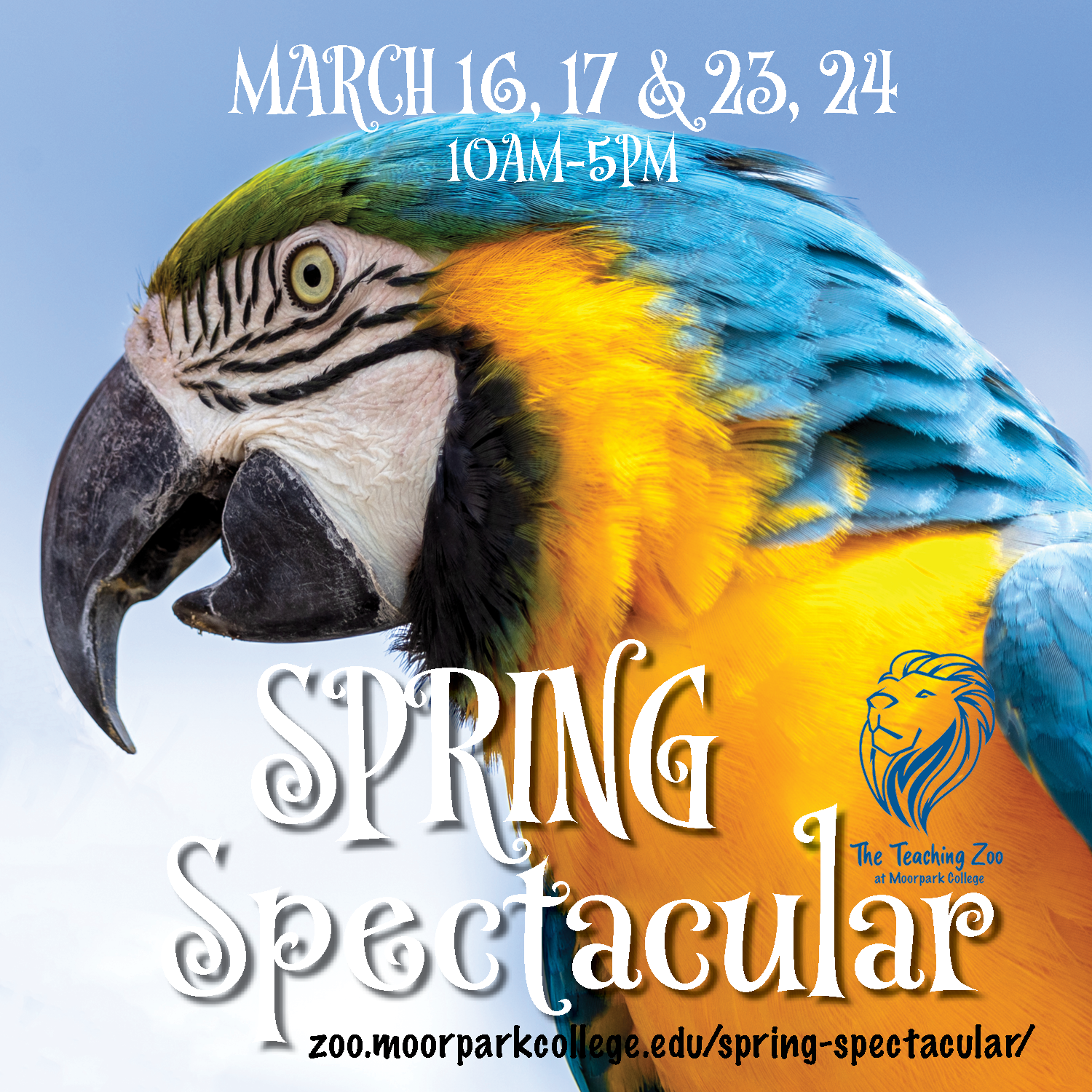 Spring Spectacular with colorful bird