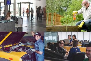 Woman sitting at a reception desk, man spraying chemicals on grass, man working on a yellow car, four women and a man working in an office