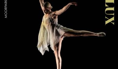 Motion Flux Dance Performance Motion Flux Dance Performance