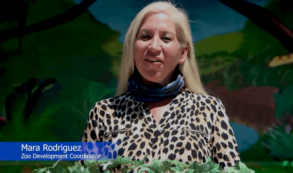 Screenshot from video of Mara Rodriguez, Zoo Development Coo